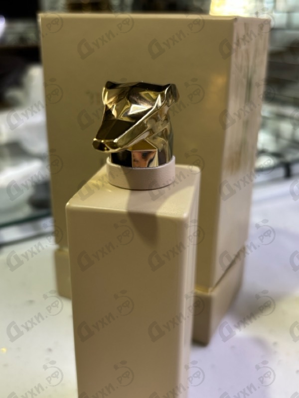 Купить Limitless Shopping Via Della Spiga от Trussardi