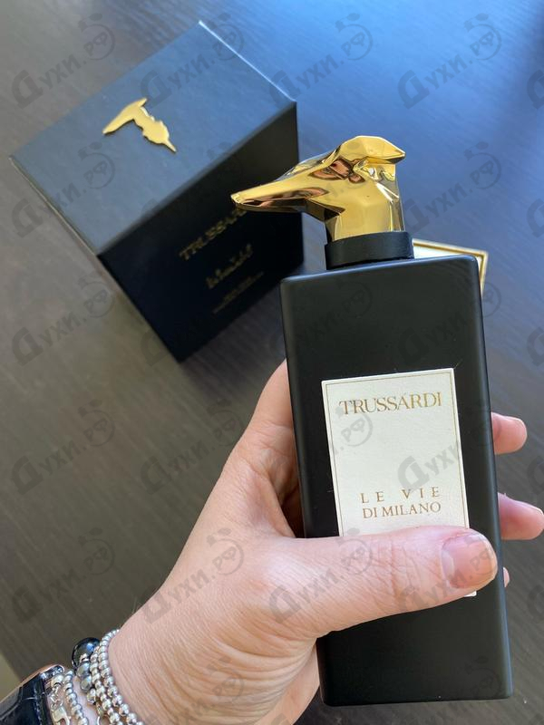 Купить Musc Noir Perfume Enhancer от Trussardi Парфюмерия Trussardi Musc Noir Perfume Enhancer