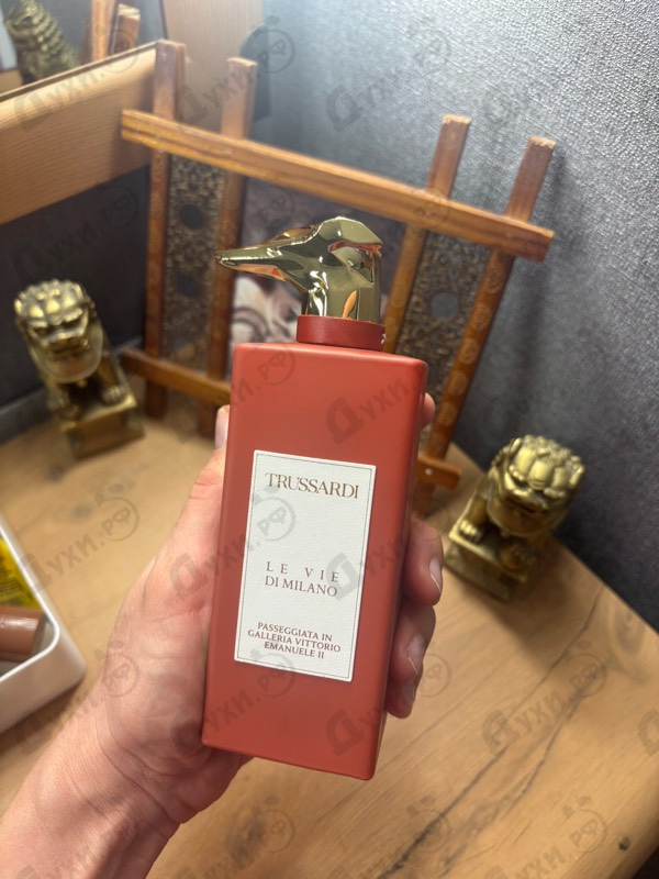 Купить Passeggiata In Galleria Vittorio Emanuele II от Trussardi