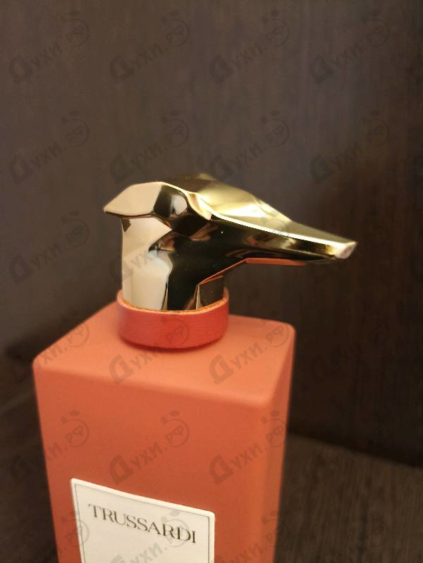 Купить Trussardi Passeggiata In Galleria Vittorio Emanuele II