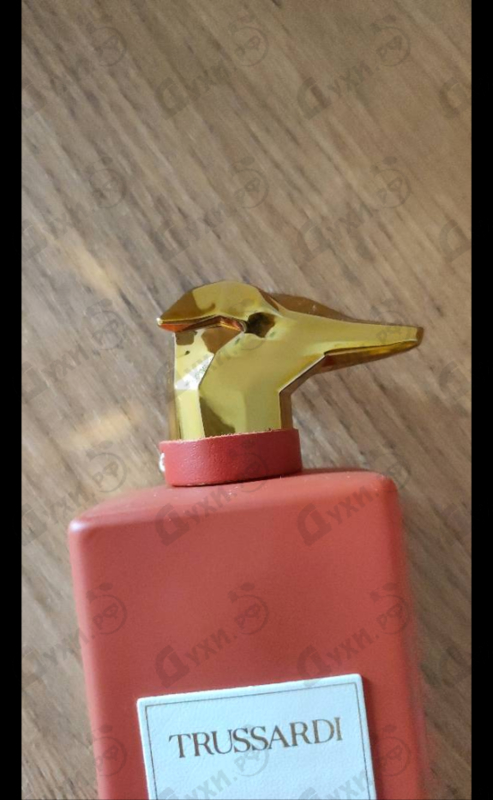 Отзыв Trussardi Passeggiata In Galleria Vittorio Emanuele II