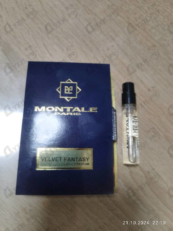 Купить Velvet Fantasy от Montale