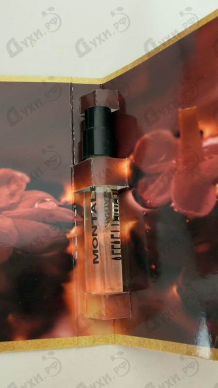 Духи Velvet Fantasy от Montale