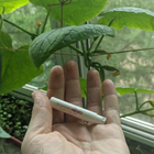 Отзывы Kenzo Flower By Kenzo Poppy Bouquet