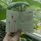 Духи Flower By Kenzo Poppy Bouquet от Kenzo