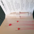 Отзыв Kenzo Flower By Kenzo Poppy Bouquet