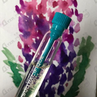 Духи Vanille Cafe от Sud Pacifique