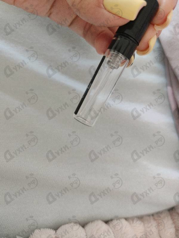 Купить Pierre Guillaume Swim SX