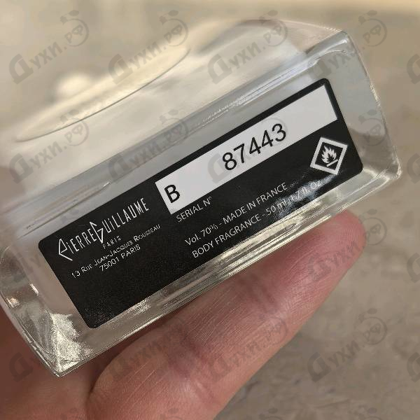 Купить Swim SX от Pierre Guillaume
