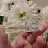 Купить L'Ombre Des Merveilles от Hermes