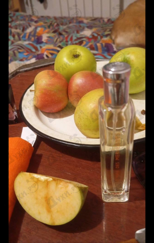 Купить Hermes L'Ombre Des Merveilles