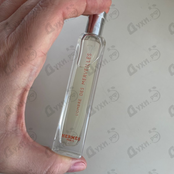 Купить L'Ombre Des Merveilles от Hermes