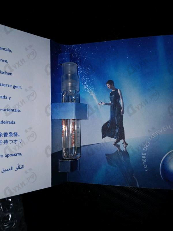 Отзывы Hermes L'Ombre Des Merveilles Парфюмерия L'Ombre Des Merveilles от Hermes
