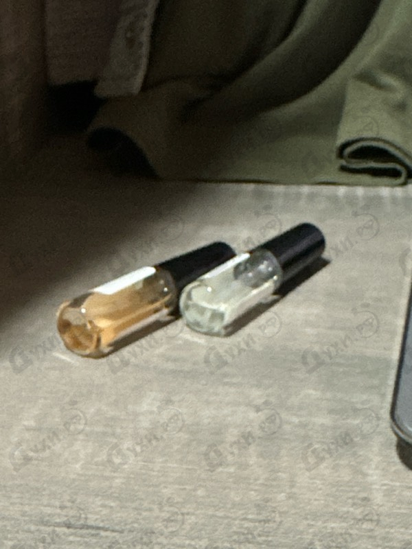 Купить Banana Republic Tobacco & Tonka Bean