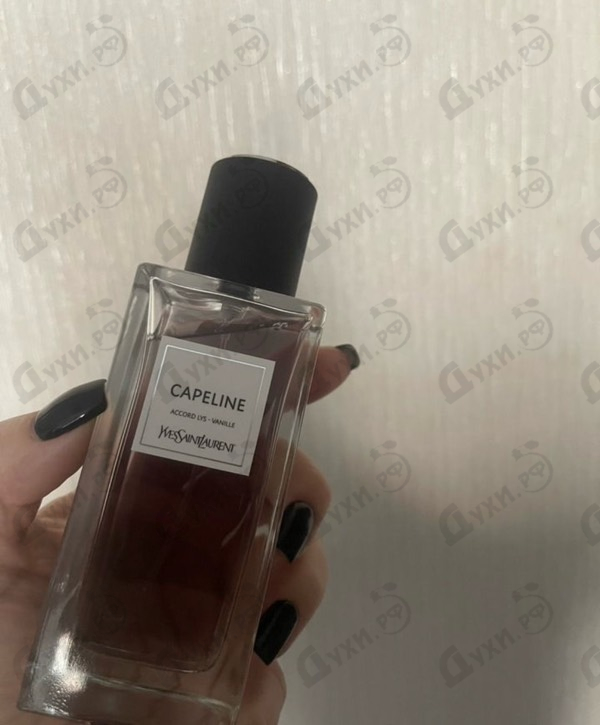 Купить Yves Saint Laurent Capeline