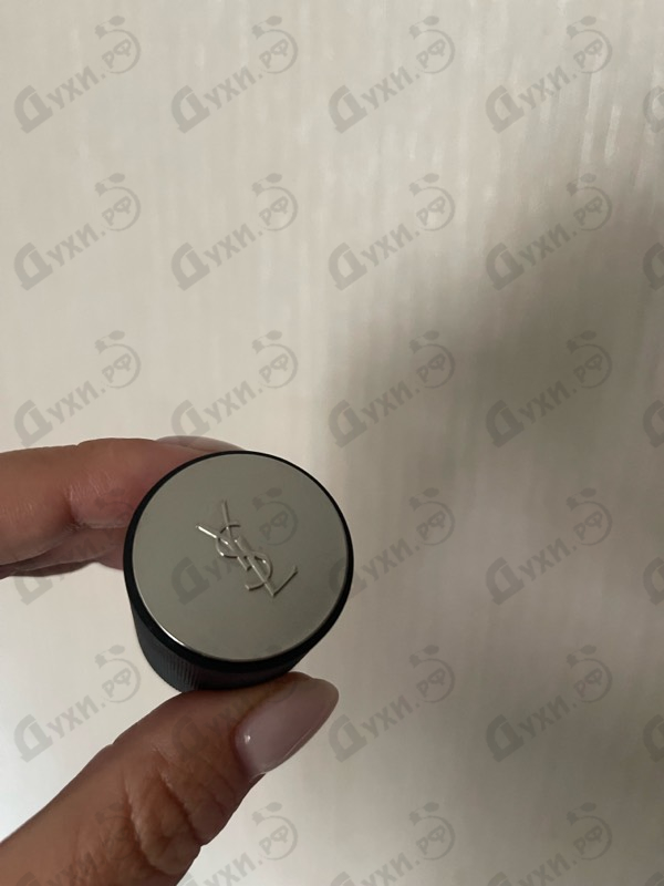 Купить Capeline от Yves Saint Laurent