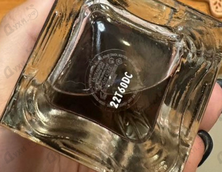 Купить Capeline от Yves Saint Laurent