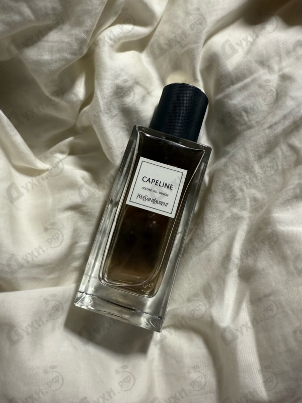 Отзыв Yves Saint Laurent Capeline
