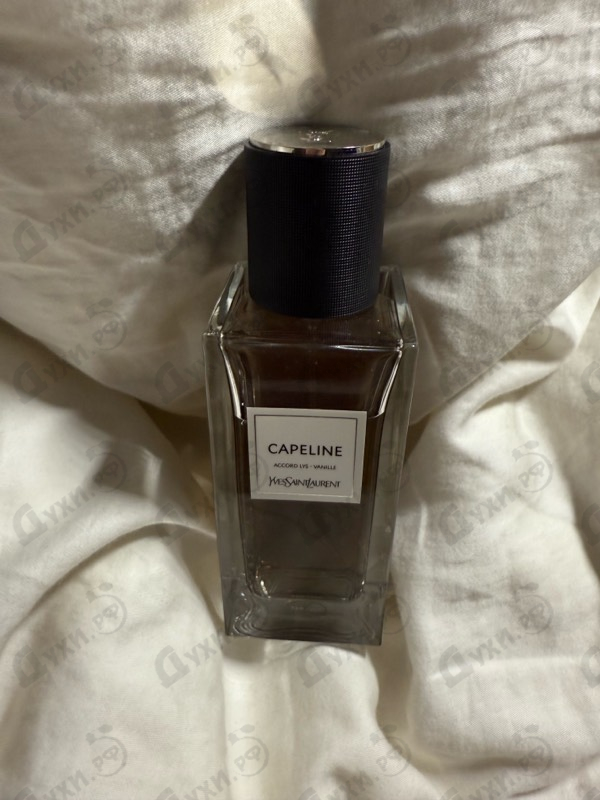 Парфюмерия Yves Saint Laurent Capeline