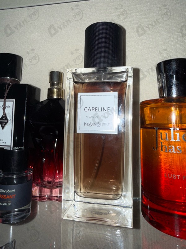 Парфюмерия Yves Saint Laurent Capeline