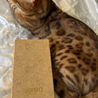 Отзывы Memo Retba