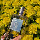 Отзывы Mizensir Solar Blossom