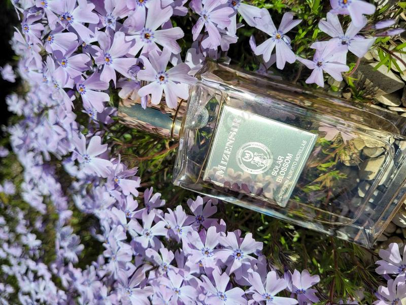Парфюмерия Mizensir Solar Blossom Духи Solar Blossom от Mizensir