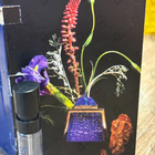 Отзыв Rubeus Milano Bleu