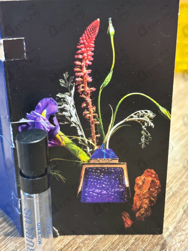 Отзыв Rubeus Milano Bleu