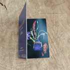 Парфюм Rubeus Milano Bleu