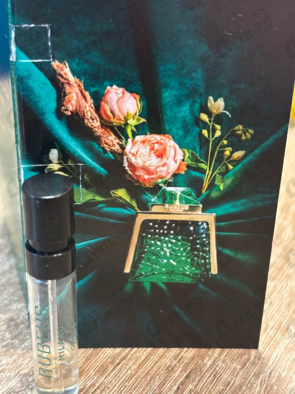 Парфюмерия Vert от Rubeus Milano