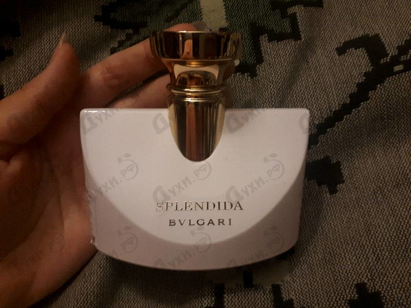 Купить Bvlgari Splendida Patchouli Tentation