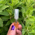 Отзывы Franck Boclet Woodstock