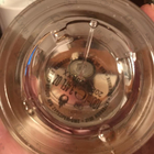 Духи The Muse от Zarkoperfume