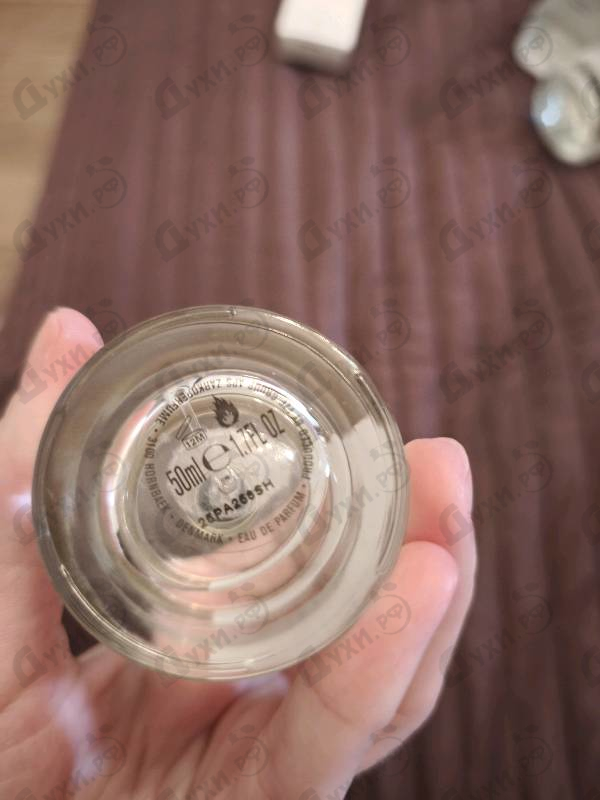 Купить The Muse от Zarkoperfume