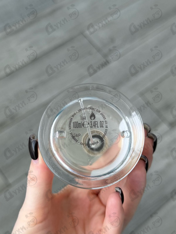 Духи The Muse от Zarkoperfume