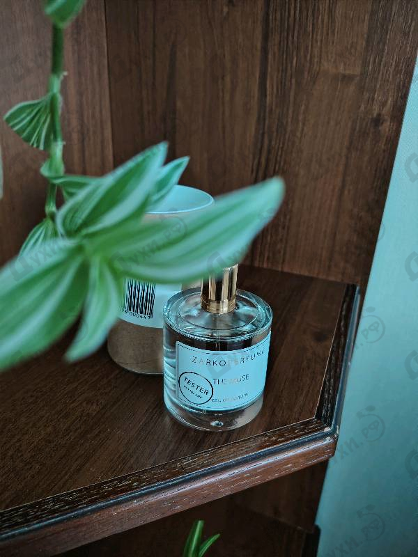 Парфюмерия The Muse от Zarkoperfume