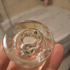 Духи The Muse от Zarkoperfume