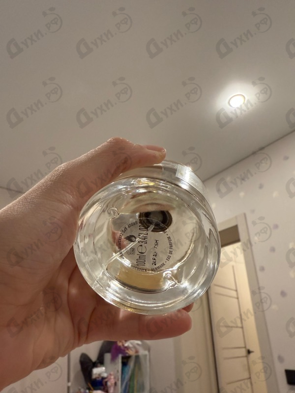 Парфюмерия Zarkoperfume The Muse