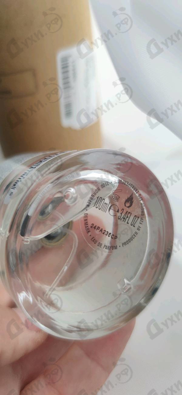 Отзывы Zarkoperfume The Muse