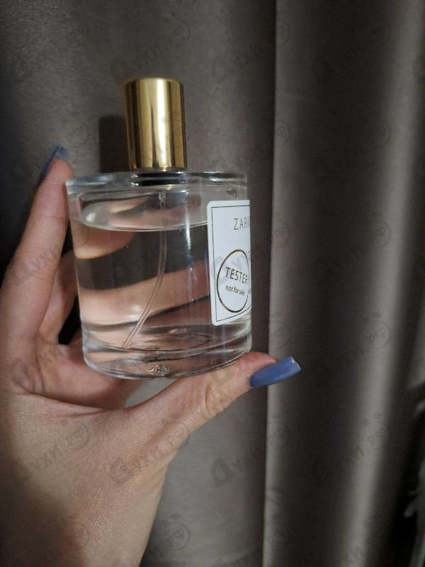 Парфюмерия Zarkoperfume The Muse