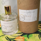 Парфюм Zarkoperfume The Muse
