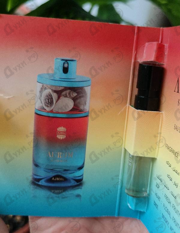 Купить Aurum Summer от Ajmal