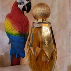Отзывы Jimmy Choo Iris Crush