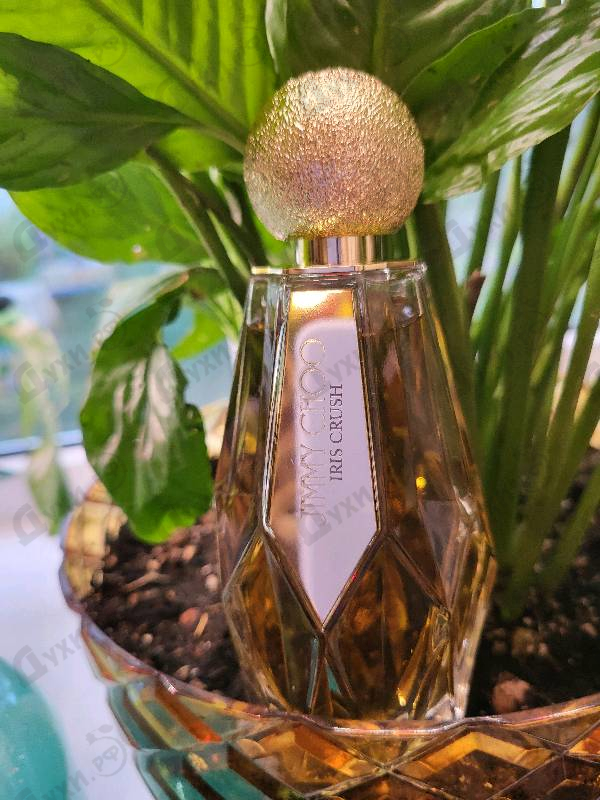Отзывы Jimmy Choo Iris Crush Купить Iris Crush от Jimmy Choo