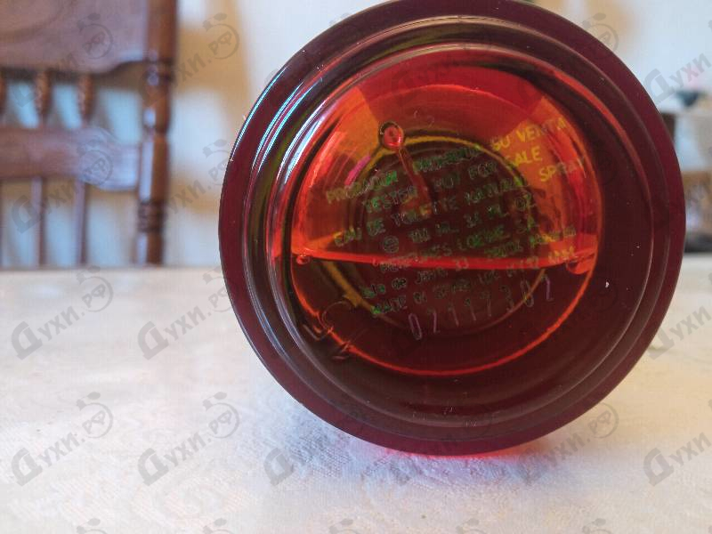 Купить Paula's Ibiza от Loewe