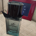 Отзыв Burberry Mr. Burberry Element