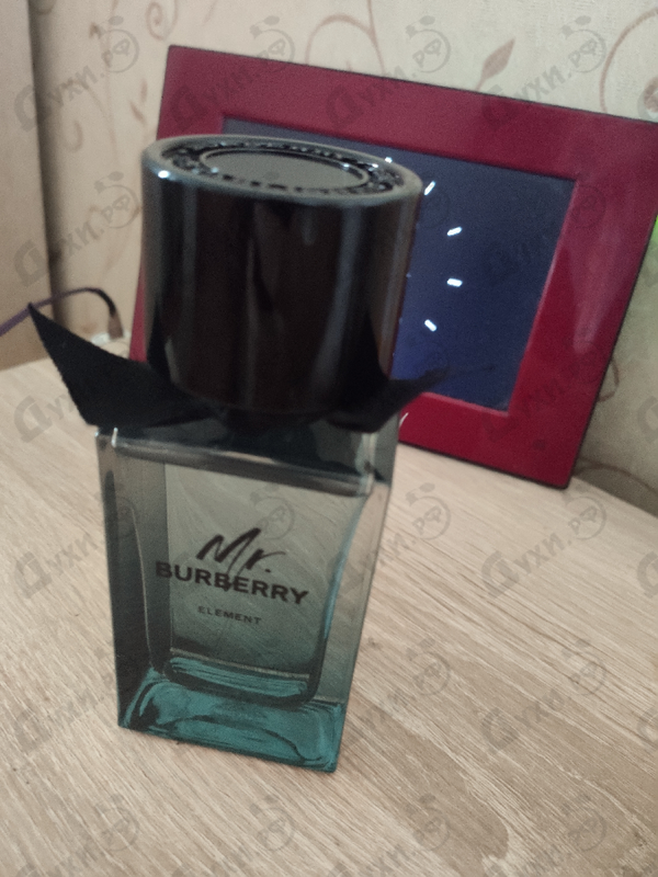 Купить Burberry Mr. Burberry Element