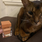 Духи Narciso Eau De Parfum Ambree от Narciso Rodriguez