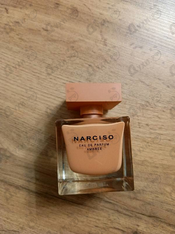 Купить Narciso Eau De Parfum Ambree от Narciso Rodriguez